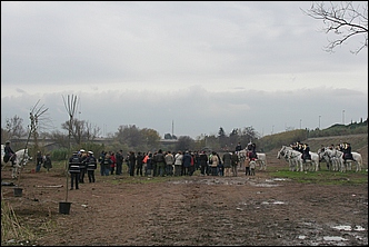 Anteprima - Clicca per ingrandire